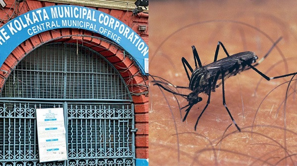 Dengue Cases on kolkata (symbolic picture)