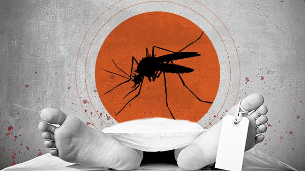 Dengue Death (symbolic picture)