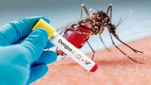 Woman Succumbs to Dengue (symbolic picture)