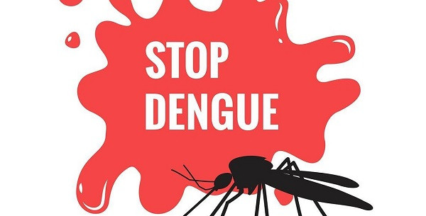 Dengue Fever Five Tips (symbolic picture)