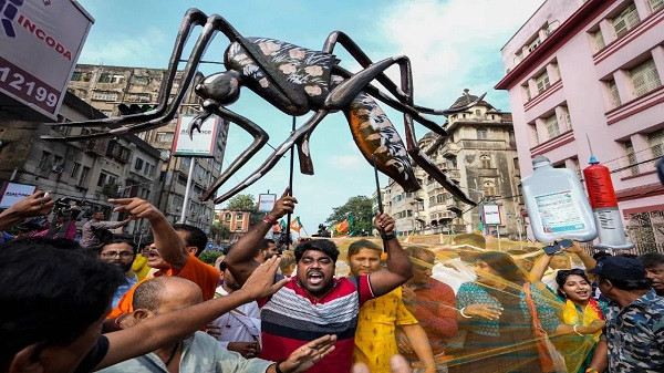 Dengue cases rising (symbolic picture)