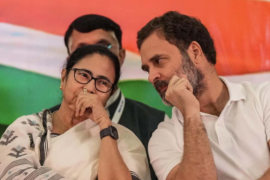 Mamata Banerjee and Rahul Gandhi