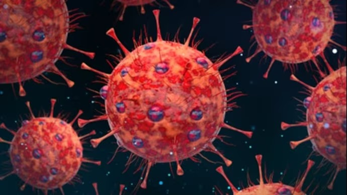 New coronavirus variant JN.1 detected