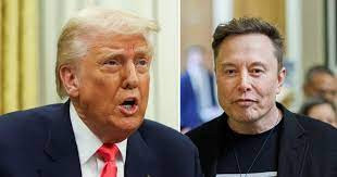 Elon Musk Trump administration,