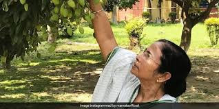 Kolkata air quality improvement, Mamata Banerjee