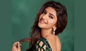 Sreeleela Bollywood debut, Aashiqui 3 actress new film, Sreeleela upcoming project,