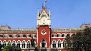 Calcutta High Court,Durga Puja fund,public fund accountability,