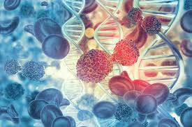 Cancer cases northeast india, cancer study india, aizawl cancer rate,