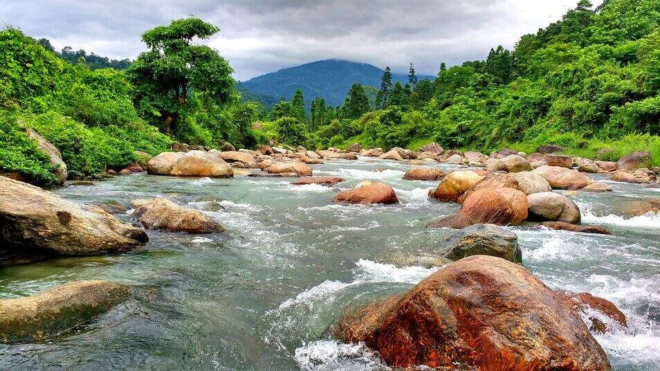 Unseen Beauty of Dooars