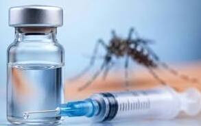 First dengue vaccine in India to fight rising infections