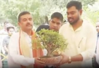 Protect Trees, Preserve Forests: CM