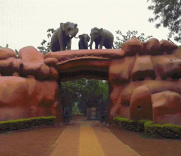 Chandaka Dampara Wildlife Sanctuary